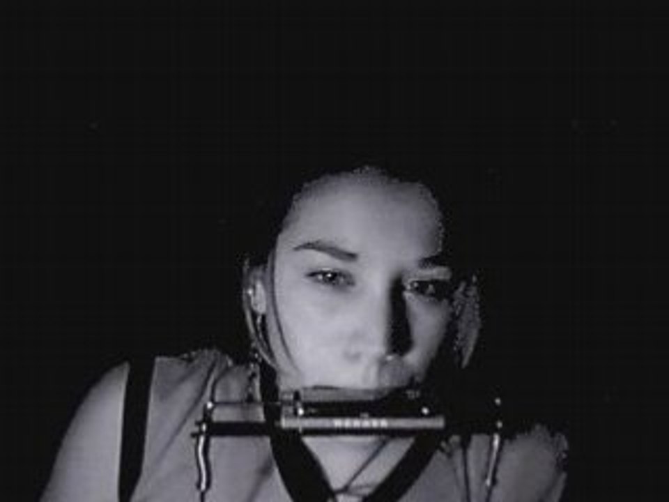 Harmonica Ballade nord irlandaise