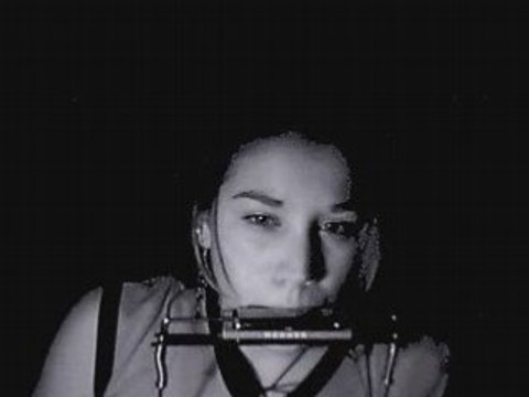 Harmonica Ballade nord irlandaise