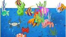 Video animasi - ikan ikan