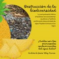 -ANDRÉS DE JESÚS VÉLEZ FRANCO- MORTALIDAD INFANTIL Y CONTAMINANTES DEL AGUA (PARTE 2) (@AndresdeJesus90)