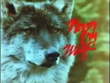 Un homme parmi les loups Bande-annonce (EN)