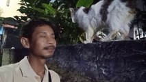 Kucing kesayangan dimanapun dia ikut
