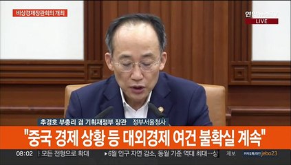 [현장연결] 정부, 수출 추가지원책·중국인 방한 활성화 논의