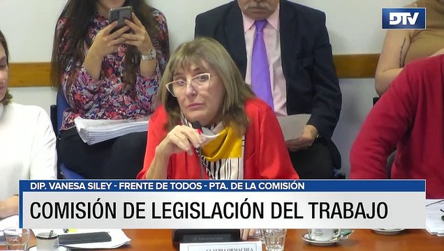 Diputados analizó con invitados la reparación histórica para trabajadores de empresas privatizadas en los años 90