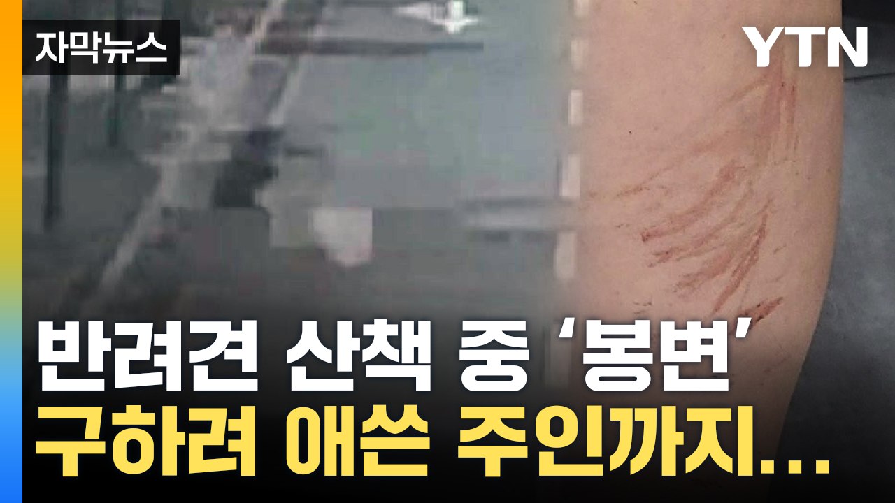 [자막뉴스] 반려견 산책 중 이게 무슨 일..."아무것도 할 수 없어" / YTN