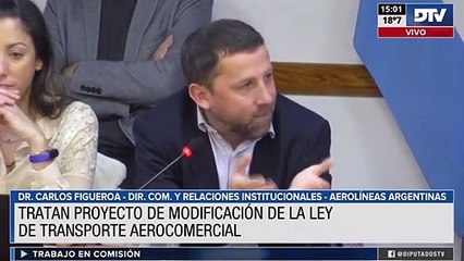 Descargar video: Avanza en Diputados el proyecto que busca proteger la estatización de Aerolíneas Argentinas