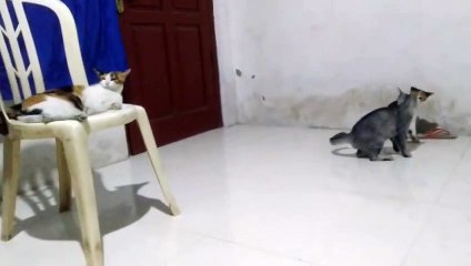 BODO AMAT, MENDINGAN TIDURAN SAJA