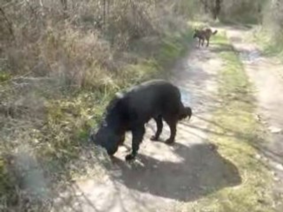 Promenade sur les bords de Loire