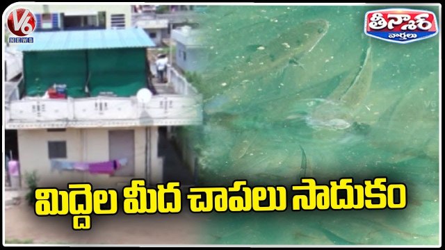 Fish Farming On Roof Of House At Nizamabad _ V6 Weekend Teenmaar