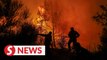 Firefighters battle deadly Greek park blaze