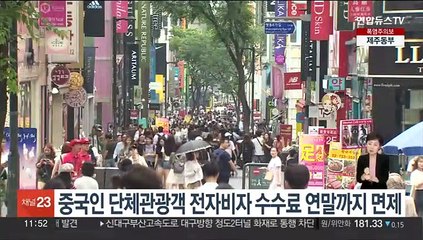 중국인 단체관광객 전자비자 수수료 연말까지 면제