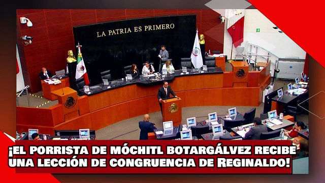 ¡VEAN! ¡el porrista de Móchitl BotarGálvez recibe una lección de congruencia de parte de Reginaldo!