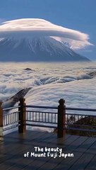 The beauty of Mount Fuji Japan