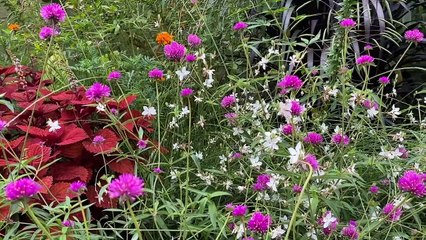 Meditation Practice Hearing and Thinking I 20Min Spoken Meditation