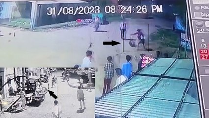 Video herunterladen: Viral CCTV Video: बेटे को काटा तो पिता ने कुत्ते को दी खौफनाक मौत, पहले पटका फिर पत्थर से कुचला