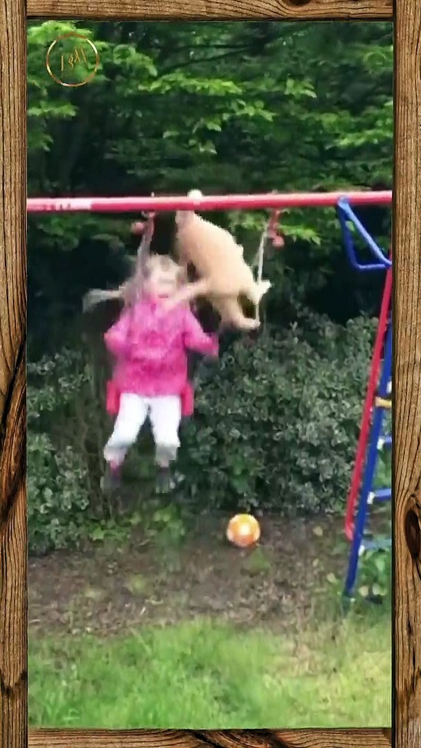 ⁣Funny Pets 21 Short
