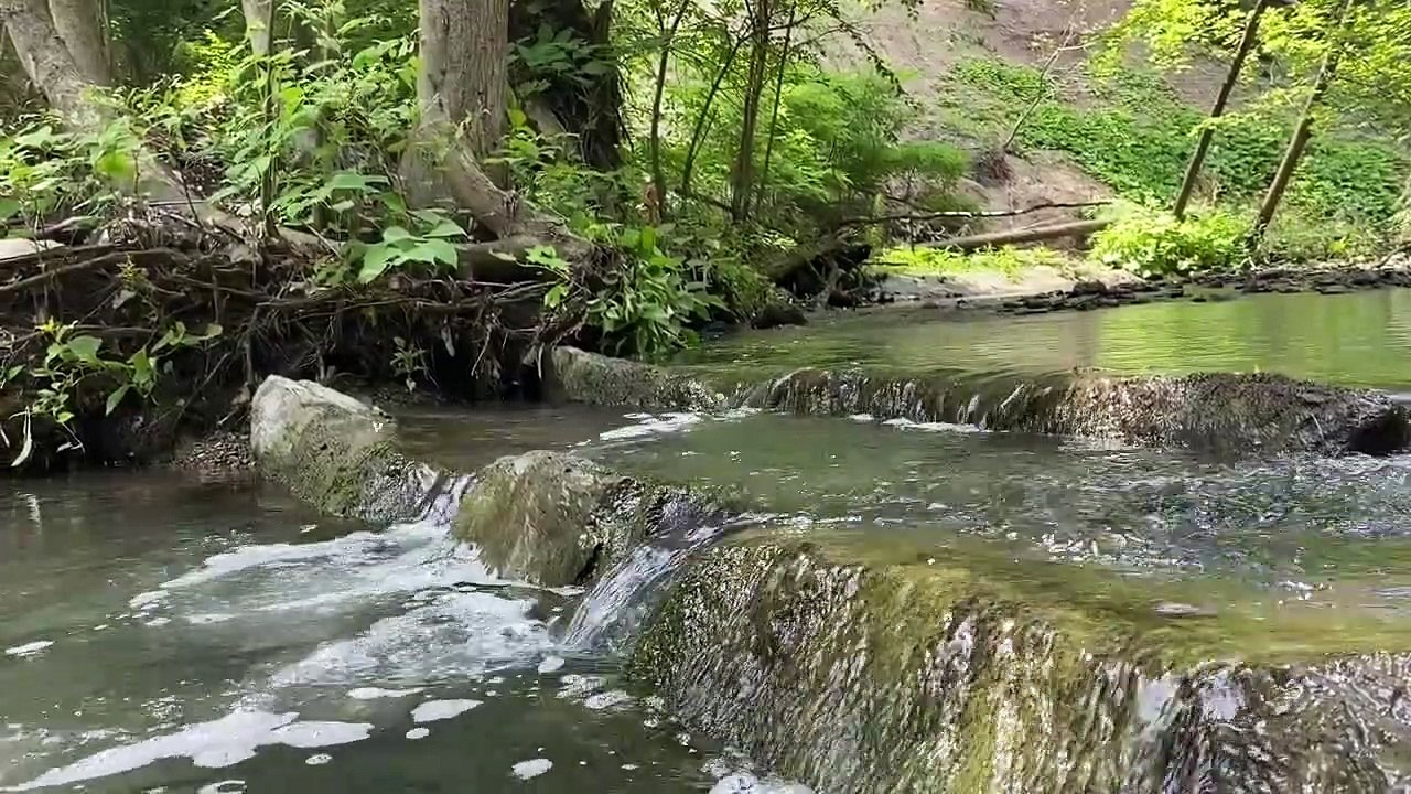 Meditation Practice Loving Kindness I 20 Min Spoken Meditation