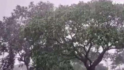 మన్యం: జిల్లాలో దంచిపారేసిన భారీ వర్షాలు.. అత్యధికంగా ఇక్కడే..!