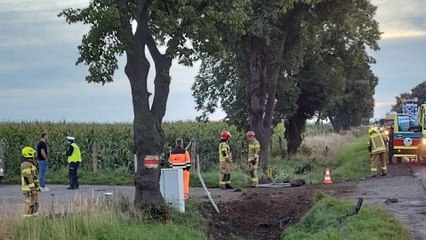 Śmiertelny wypadek na DK12 koło Lasocic