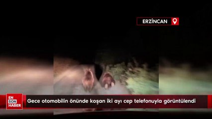 Gece otomobilin önünde koşan iki ayı cep telefonuyla görüntülendi