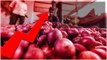 Onions Price.. మంట పెట్టనున్న ఉల్లి ధరలు.. స్టాక్ పెట్టుకోవాల్సిందే... | Telugu OneIndia