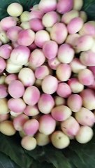 Basketful of Nature's Goodness | Roadside Fresh Fruit Vendors