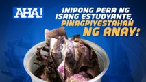 Inipong pera, pinagpiyestahan ng anay! | AHA!