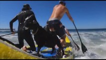Chupacabrah, la capretta che fa surf con i turisti in California