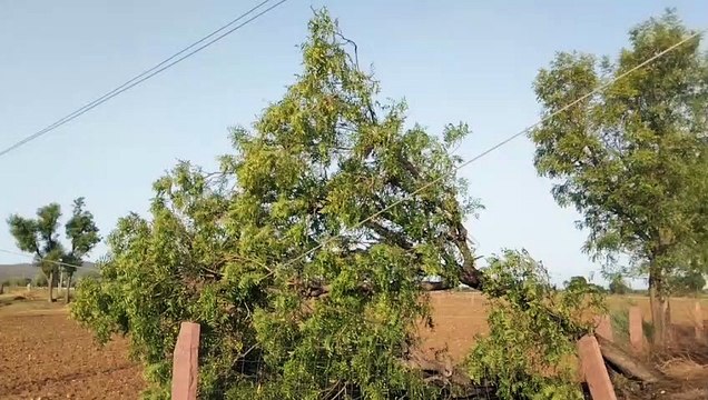 अगले दो दिन बाद राहत की बारिश के आसार