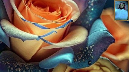 اجمل الأصوات فى تلاوة القران الكريم علي الفرهود