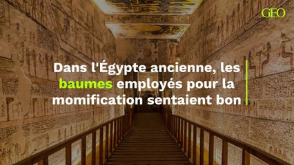 Dans l'Égypte ancienne, les baumes employés pour la momification sentaient bon