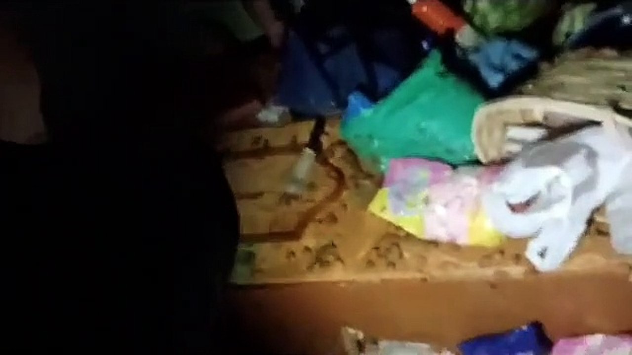 salvamento de idosa