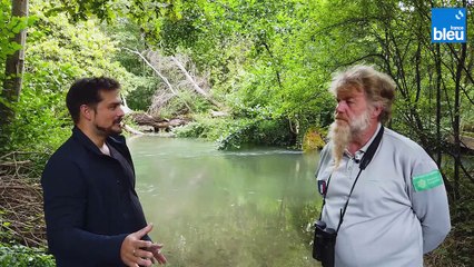 6/6 : l'entretien des forêts, la diversité de la faune de l'Île de Rhinau