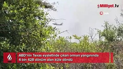 Texas’ta orman yangını: 4 bin 428 dönüm alan yandı