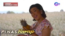 “Queen pineapple” ng Ormoc City, tinikman ni Kara David! | Pinas Sarap