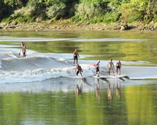 Gironde : sur la Garonne, le mascaret régale nos amis surfeurs