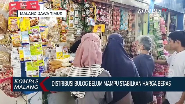 Distribusi Beras Bulog Belum Berdampak, Harga Beras di Pasar Masih Mahal