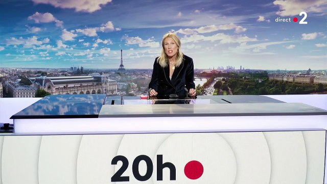 Agathe Lecaron : sa drôle de parodie du JT de 20h sur France 2 pour fêter le retour de La Maison des maternelles .