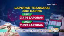 Daftar Selebgram yang Ditangkap Polisi Usai Promosi Judi Online