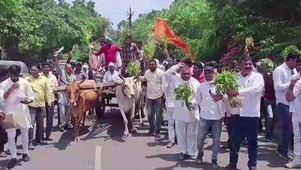 खंडवा: बारिश की कमी से फसले हुई खराब, बैलगाड़ी भर के कलेक्ट्रेट पहुंचे किसान