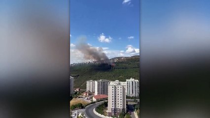 İstanbul'da ormanlık alanda yangın çıktı: Havadan destek istendi