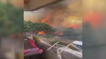 İstanbul'da orman yangını: Müdahale başladı...