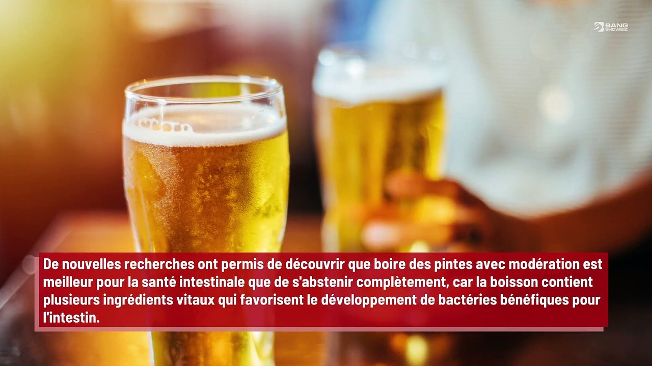 La bière peut être bénéfique pour le système immunitaire !