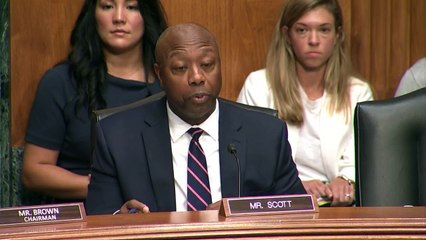 Perspectives on Deposit Insurance Reform after Recent Bank Failures | Senate Banking Hearing 7/20/23