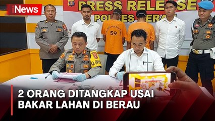 2 Orang Ditangkap usai Bakar Lahan untuk Perkebunan Sawit di Berau