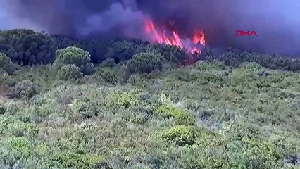 Incendie de forêt à Maltepe, Istanbul ! De nombreuses équipes ont été dépêchées dans la région.