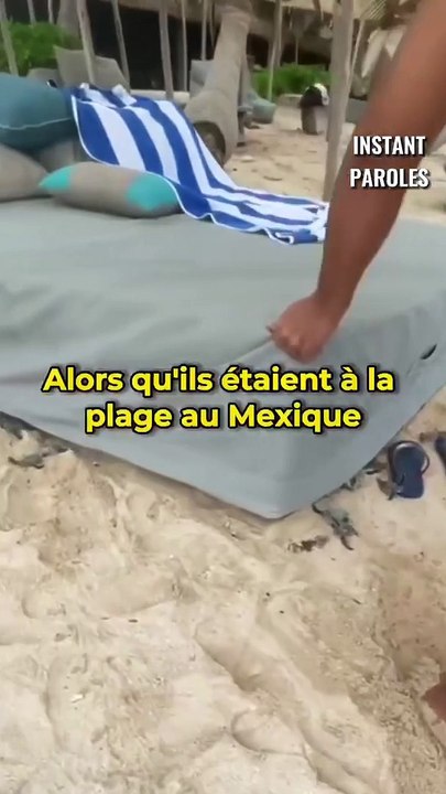 Un nid de tortues de mer éclot au milieu de la plage