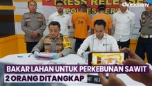 2 Pembakar Lahan Ditangkap di Berau, Mengaku untuk Tekan Biaya Operasional