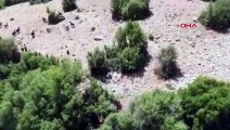 Çoban, keçi sürüsüne saldıran çakalı dronla görüntüledi