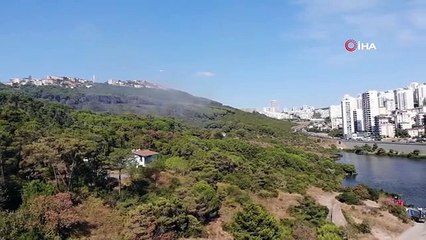 Maltepe Başıbüyük Ormanı'nda çıkan yangın kontrol altına alındı